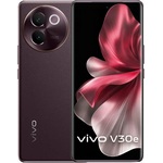 Ремонт Vivo V30e